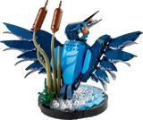 LEGO ICONS KINGFISHER BIRD