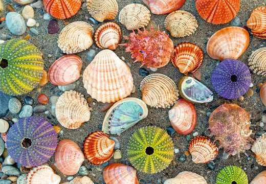 RAVENSBURG PUZZLE MOMENTS: 300 PC BY THE SEASHORE