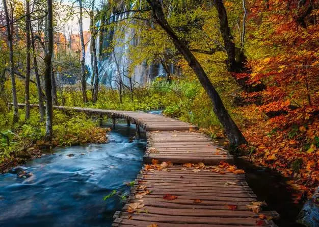 RAVENSBURGER 1000 PC AUTUMNAL WOODEN TRAIL
