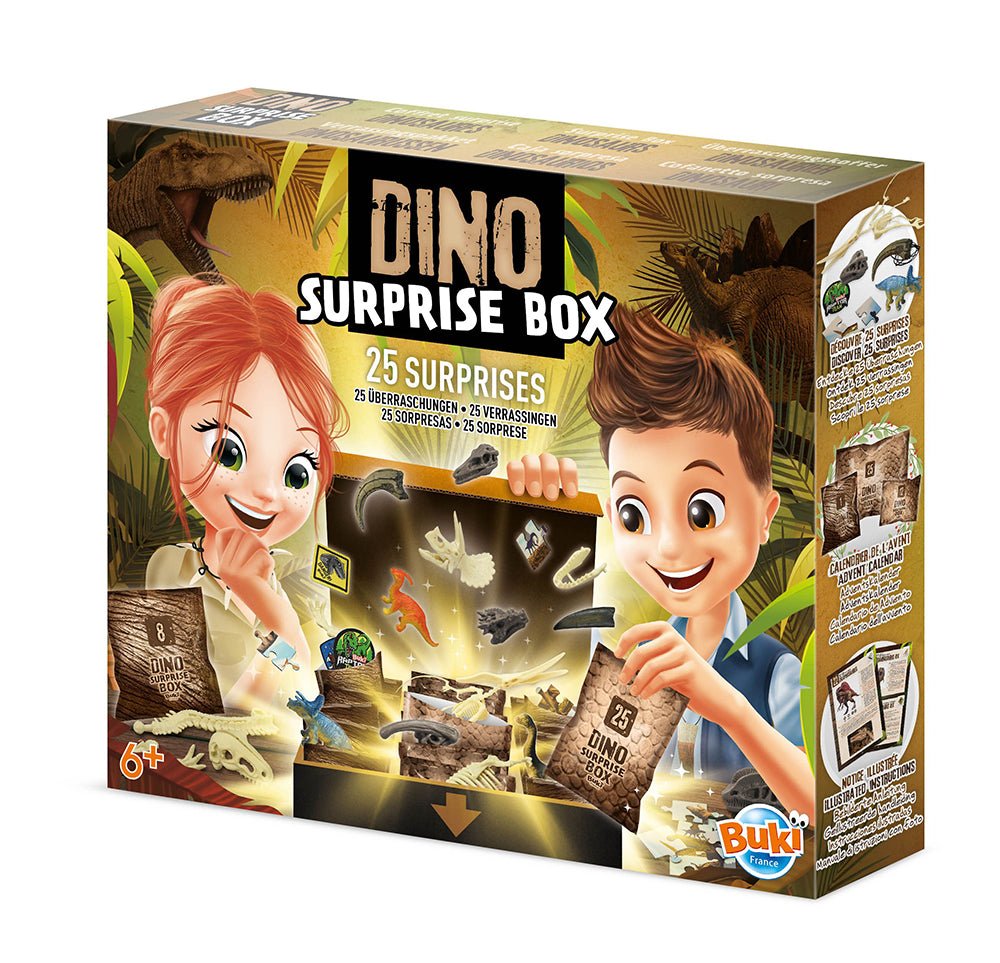 BUKI- DINO DISCOVERY BOX