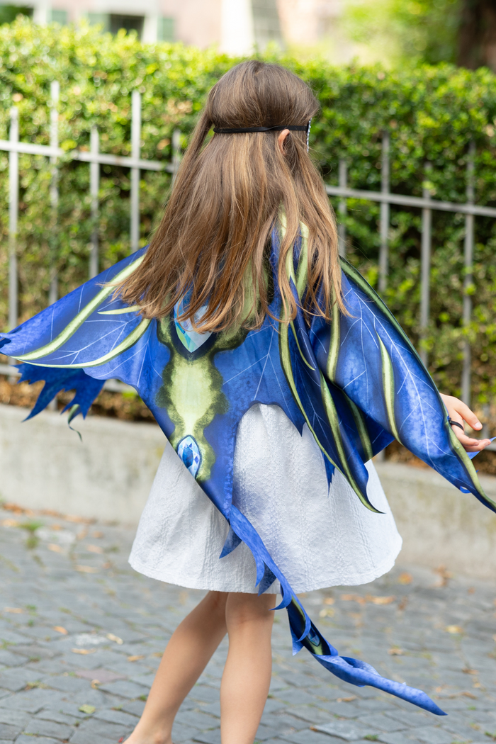 CELESTIAL DRAGON WINGS SIZE 4-6