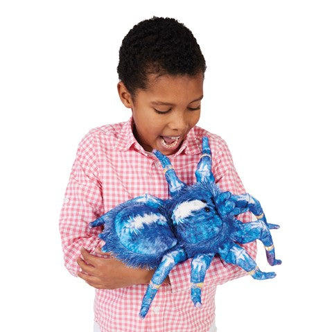 FOLKMANIS: BLUE TARANTULA