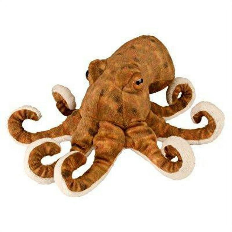 CK 12" OCTOPUS