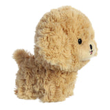 TEDDY PETS- GOLDENDOODLE