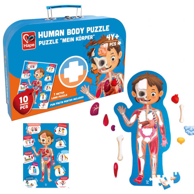 HAPE: HUMAN BODY PUZZLE