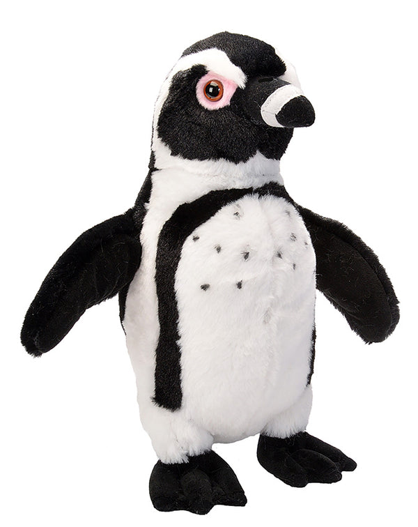 CK 12" BLACK FOOTED PENGUIN