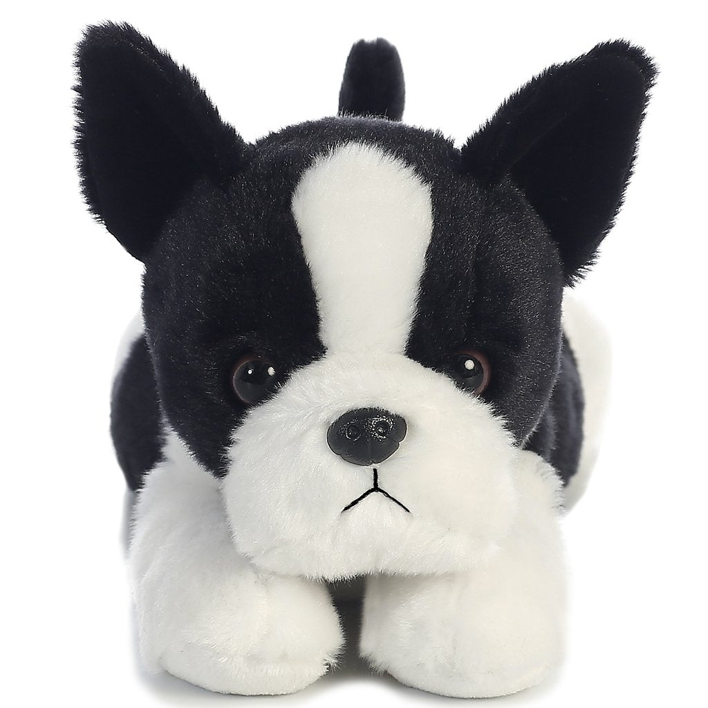 Boston terrier shop dog toys