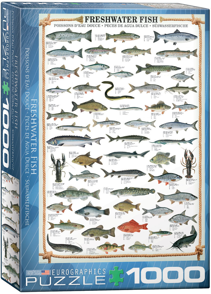 FRESHWATER FISH 1000 PC