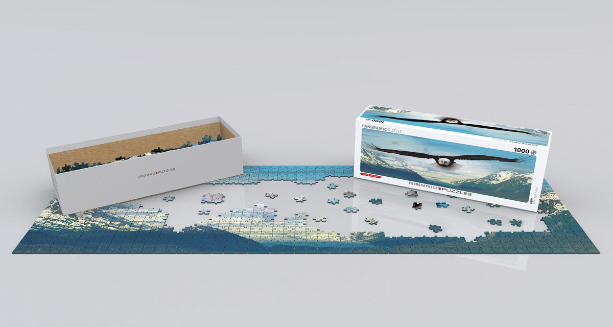 EAGLE 1000 - PC PANORAMIC