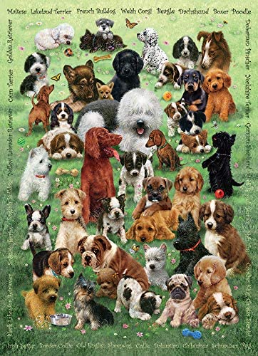 COBBLE HILL FAMILY PUZZLE PUPPY LOVE 350 PC