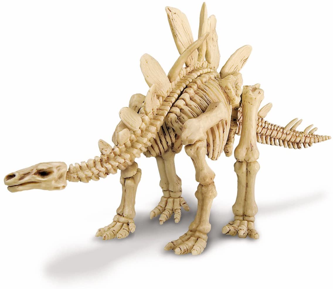 4M DIG A STEGOSAURUS