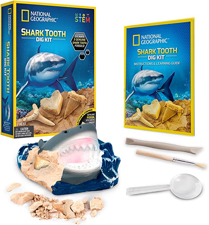 NATIONAL GEOGRAPHIC SHARK TOOTH DIG KIT