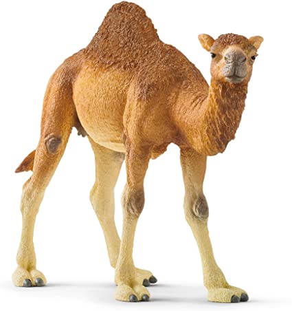 SCHLEICH WILD LIFE- DROMEDARY CAMEL