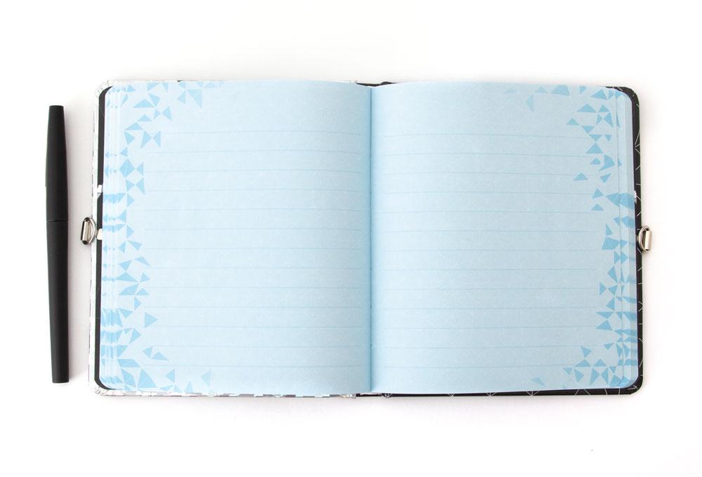 JUSTICE LEAGUE DIARY