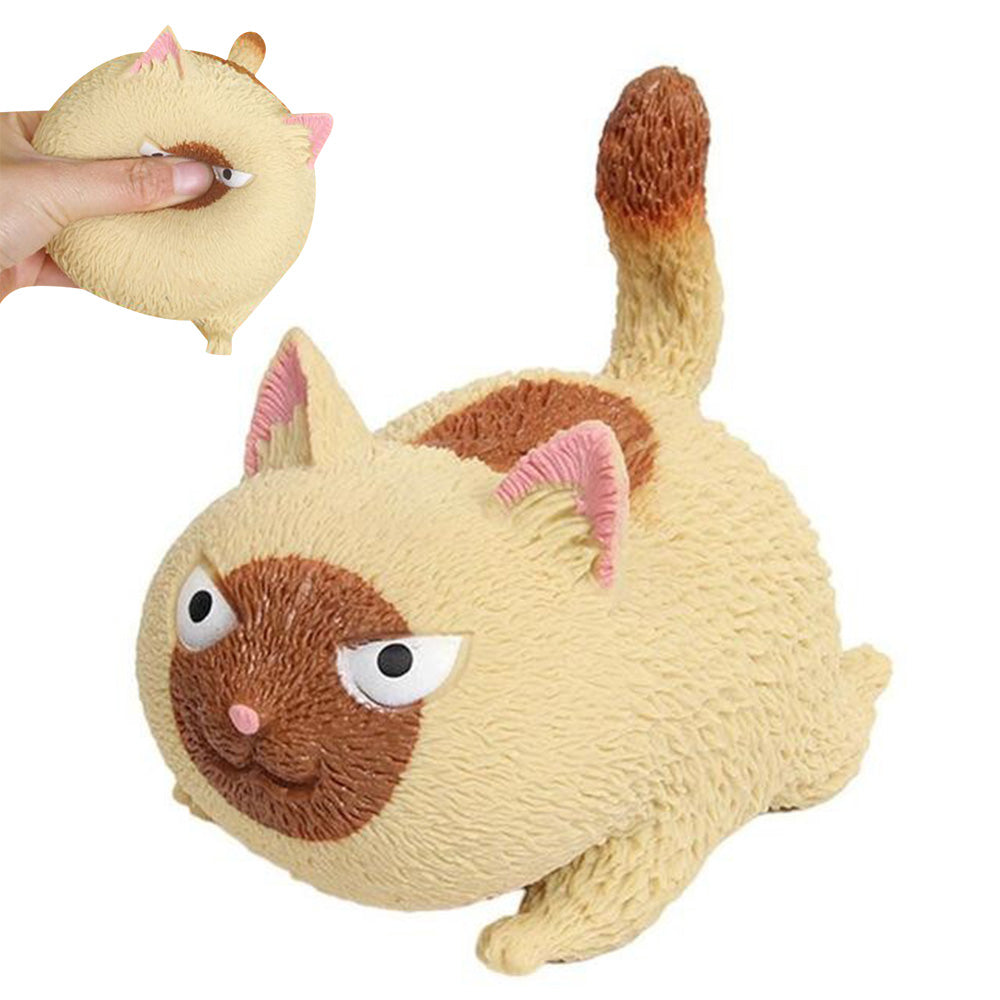 SQUEEZE ANGER CAT