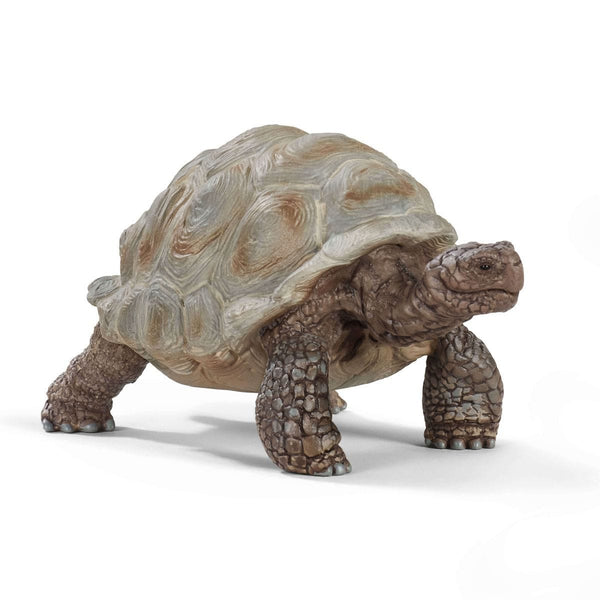 SCHLEICH WILD LIFE- GIANT TORTOISE