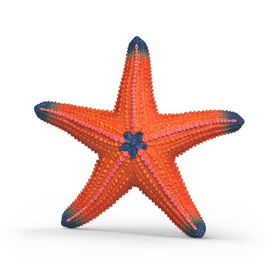 SCHLEICH STARFISH COLOR CHANGE