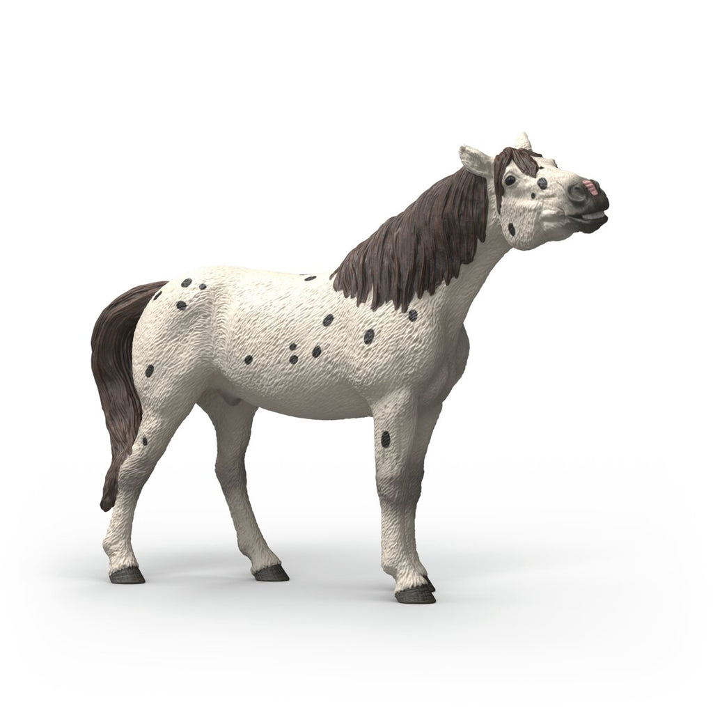 SCHLEICH KNABSTRUPPER GELDING