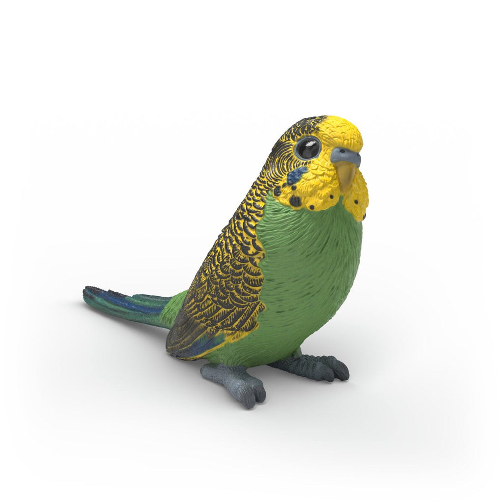 SCHLEICH BUDGIE