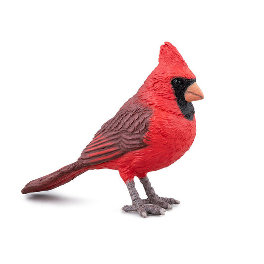 PAPO CARDINAL