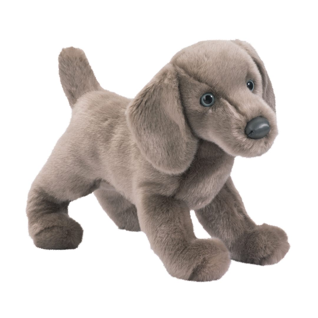 CASSIE WEIMARANER