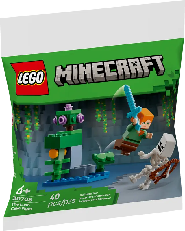 LEGO RECRUITMENT BAG- MINECRAFT