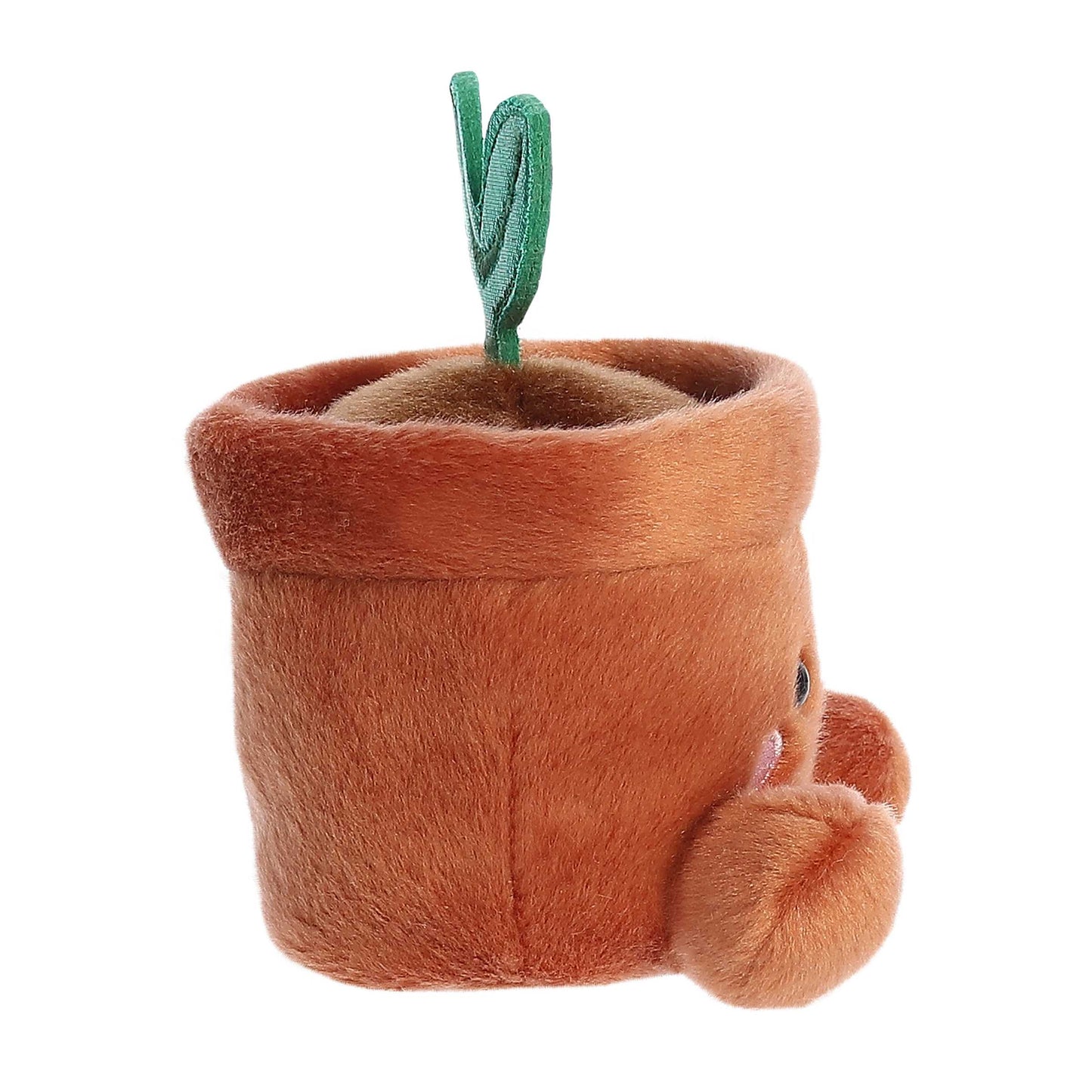 PALM PALS TERRA POTTED PLANT