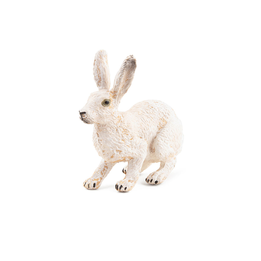 PAPO ARCTIC HARE