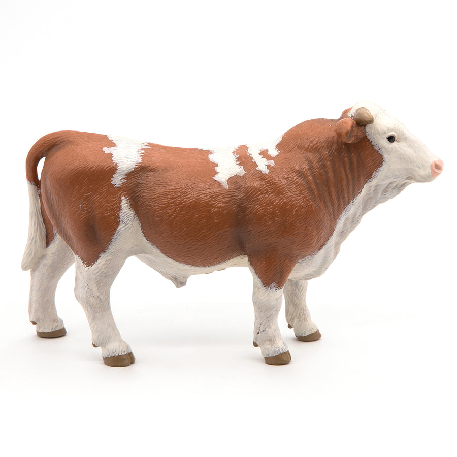 PAPO SIMMENTAL BULL