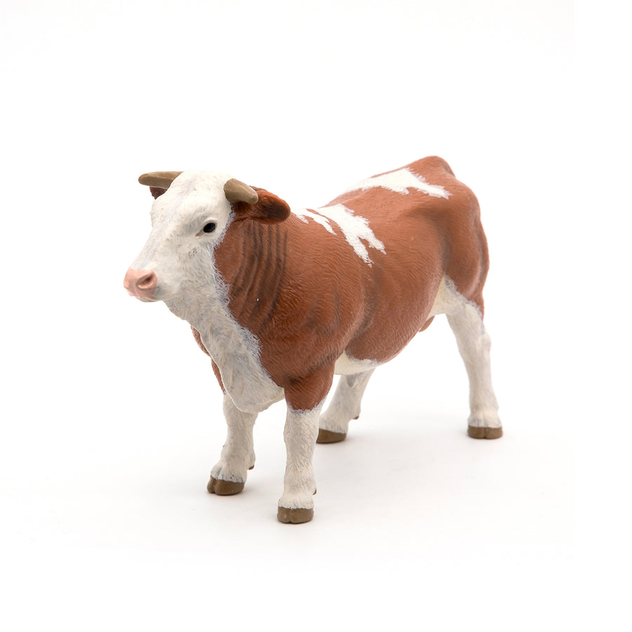PAPO SIMMENTAL BULL