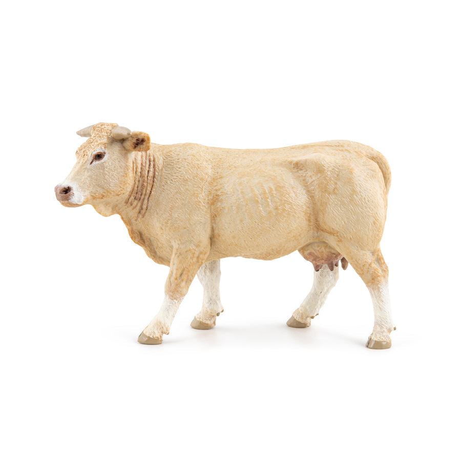 PAPO BLONDE D'AQUITAINE