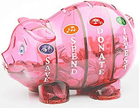 MONEY SAVVY PIGGY BANK