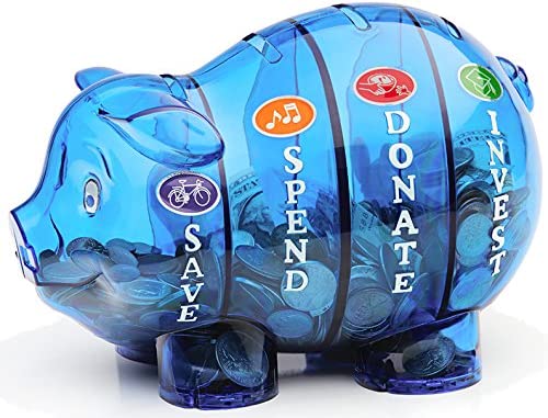 MONEY SAVVY PIGGY BANK