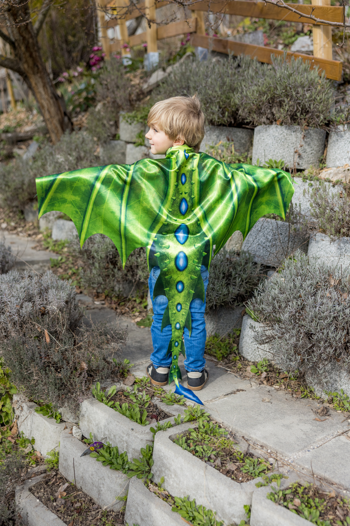 LEGENDARY DRAGON WINGS SIZE 4-6