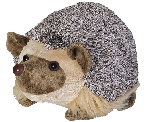 CK 12" AFRICAN HEDGEHOG