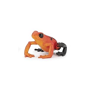 PAPO EQUATORIAL RED FROG