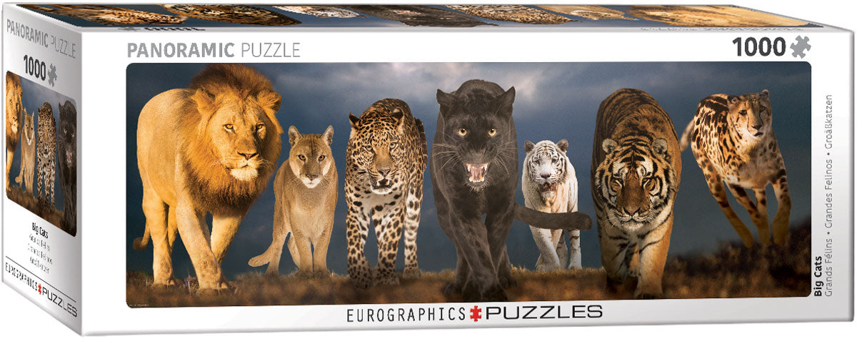 EURO 1000 PC-PANORAMIC BIG CATS