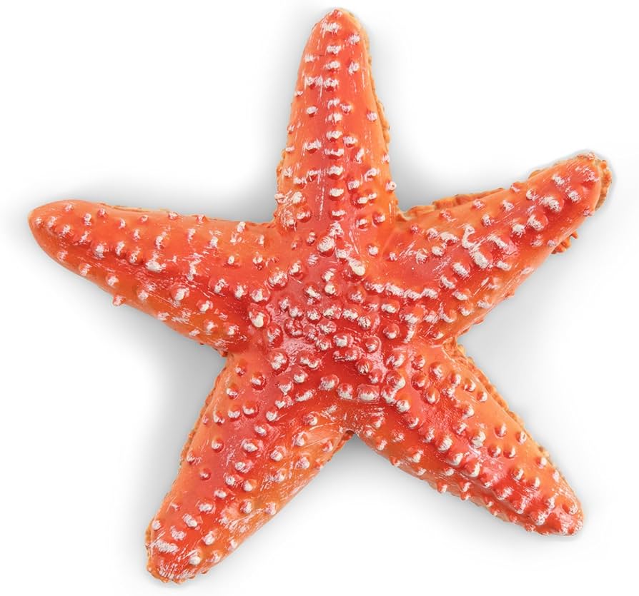 PAPO STARFISH