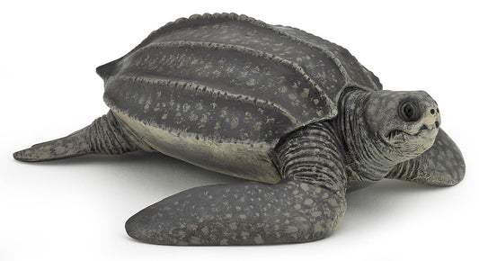 PAPO LEATHERBACK TURTLE