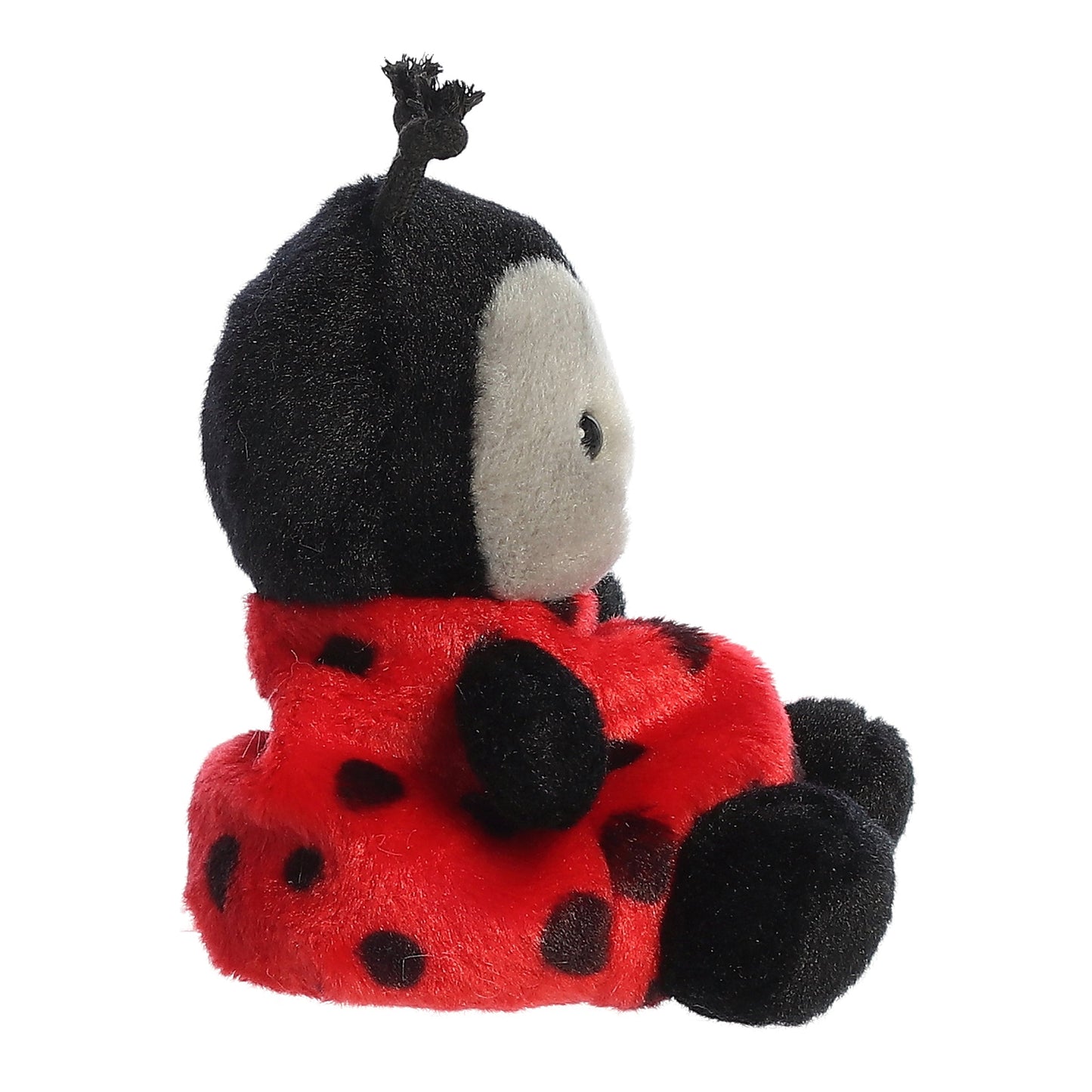 PALM PALS LIL SPOTS LADYBUG