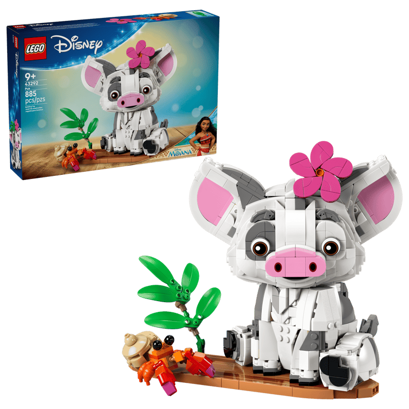 LEGO DISNEY PUA