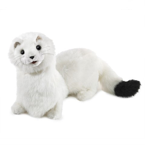 FOLKMANIS: ERMINE