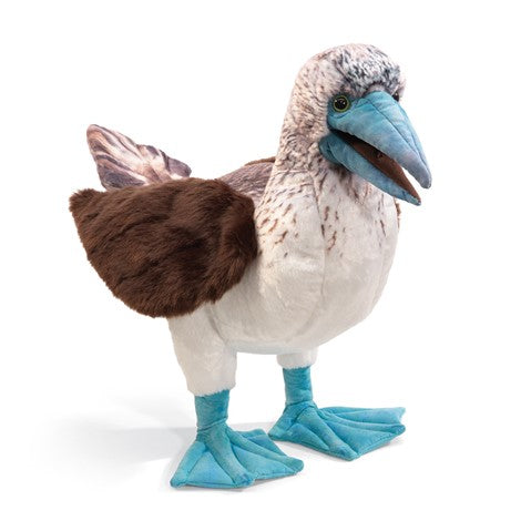 FOLKMANIS: BLUE FOOTED BOOBY