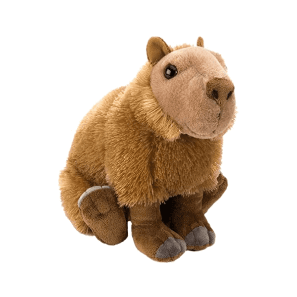 CK 12" CAPYBARA