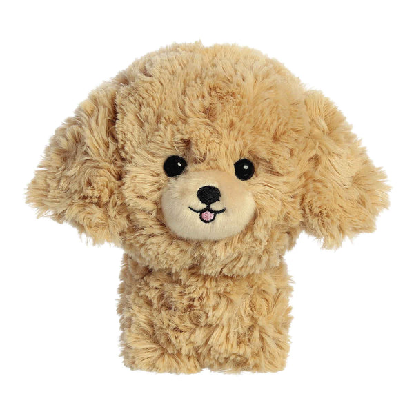TEDDY PETS- GOLDENDOODLE