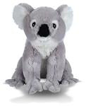 CK 12" KOALA