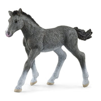 SCHLEICH HORSE CLUB- TRAKEHNER FOAL