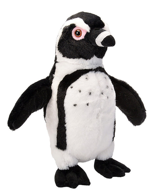 CK 12" BLACK FOOTED PENGUIN