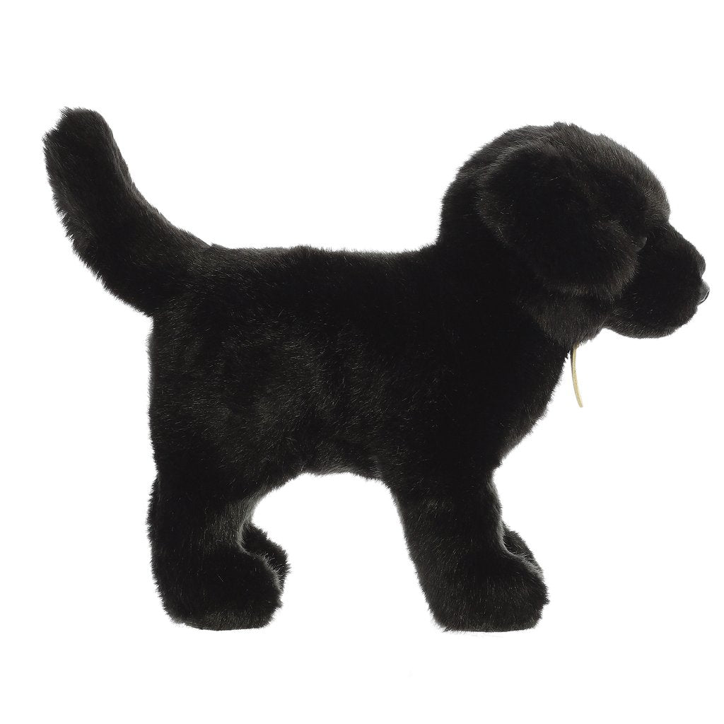 MIYONI BLACK LABRADOR 10"