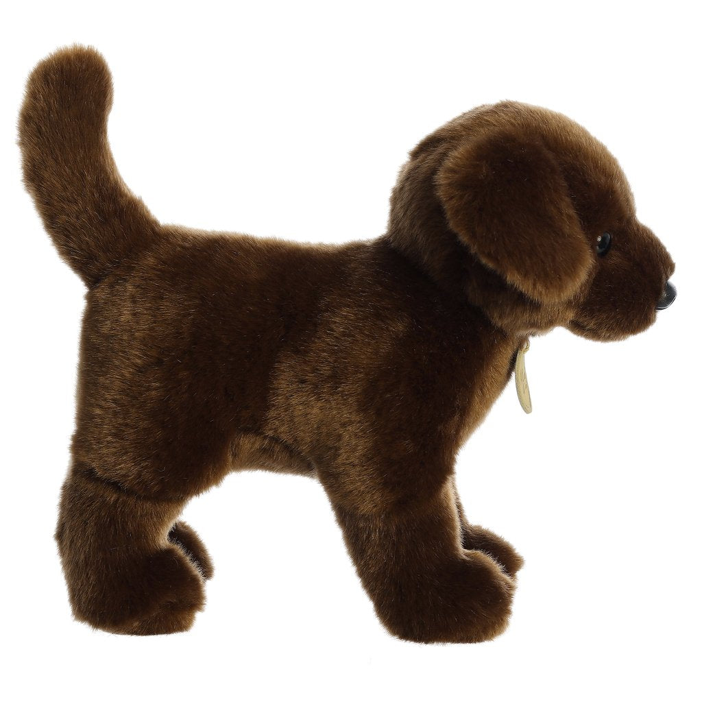 MIYONI CHOCOLATE LAB 10"